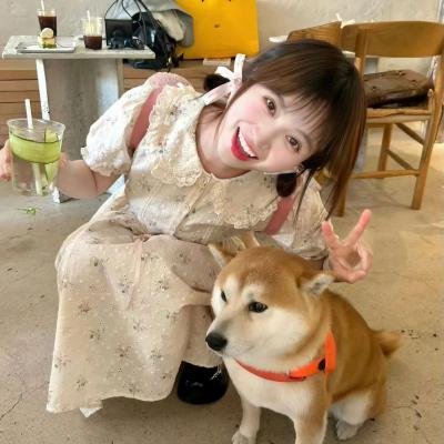 爱的大追踪